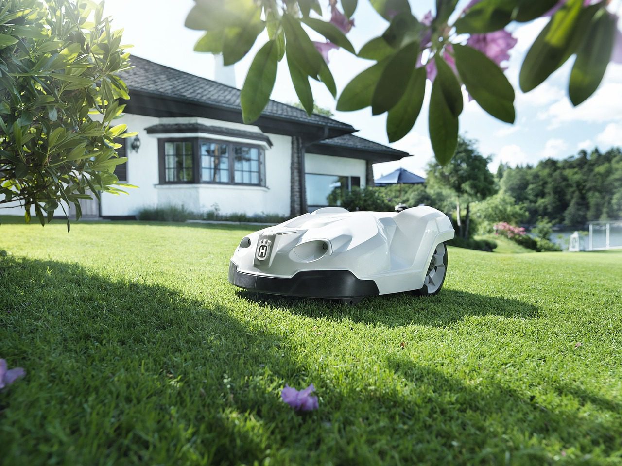 Robotmaaiers op gras